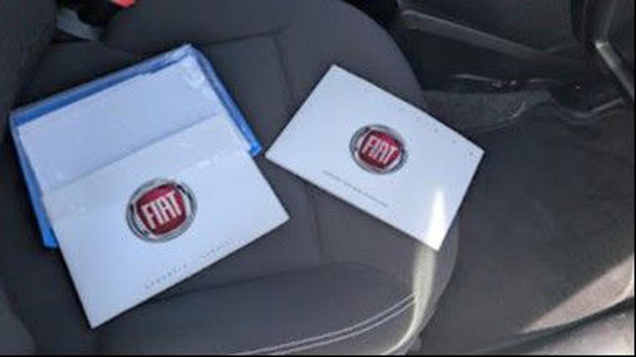 FIAT Panda 1.0 S&S Hybrid Van 2 posti - 10