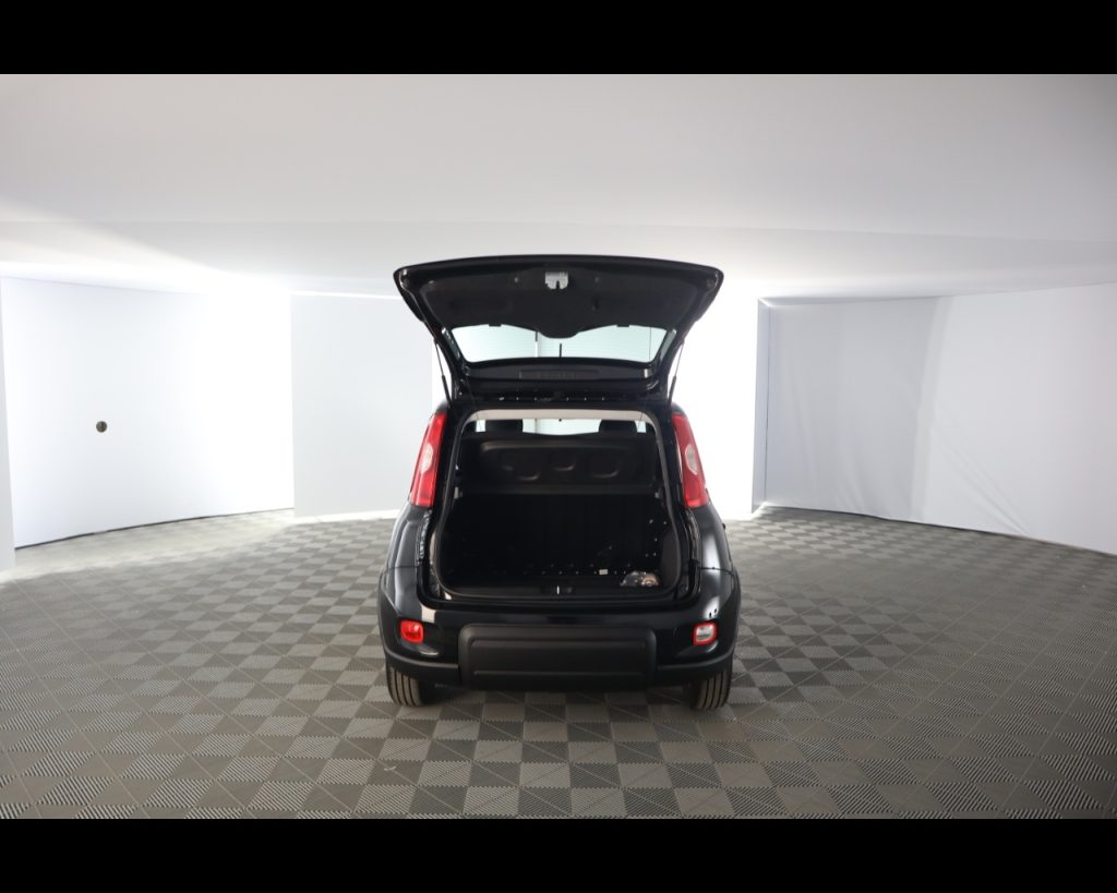 FIAT Panda 1.0 firefly hybrid s&s 70cv - 19