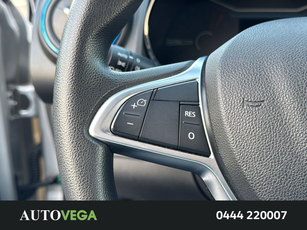 DACIA Spring comfort electric 45 - 17