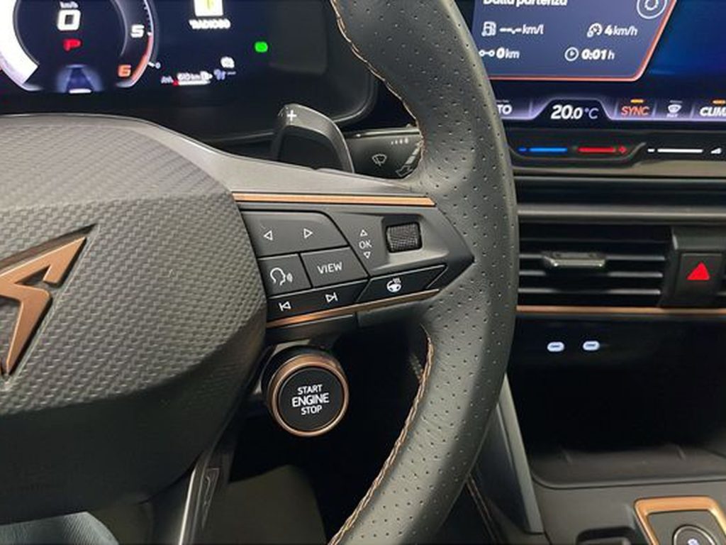 CUPRA Formentor 2.0 tdi 150cv dsg - 16