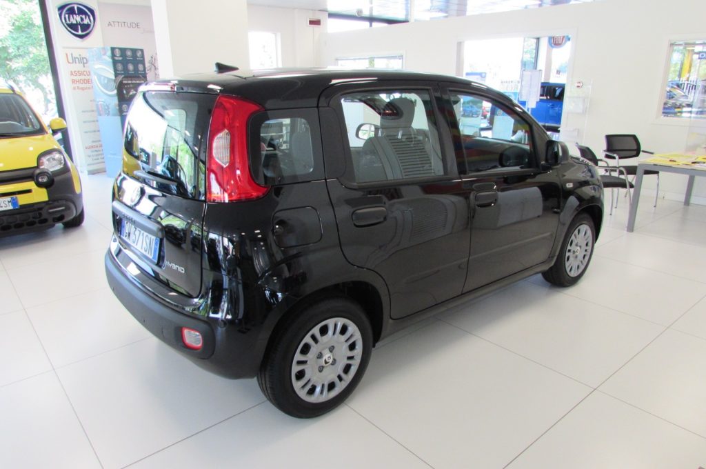 FIAT Panda 1.0 FireFly 70cv S&S Hybrid KM.ZERO - 3