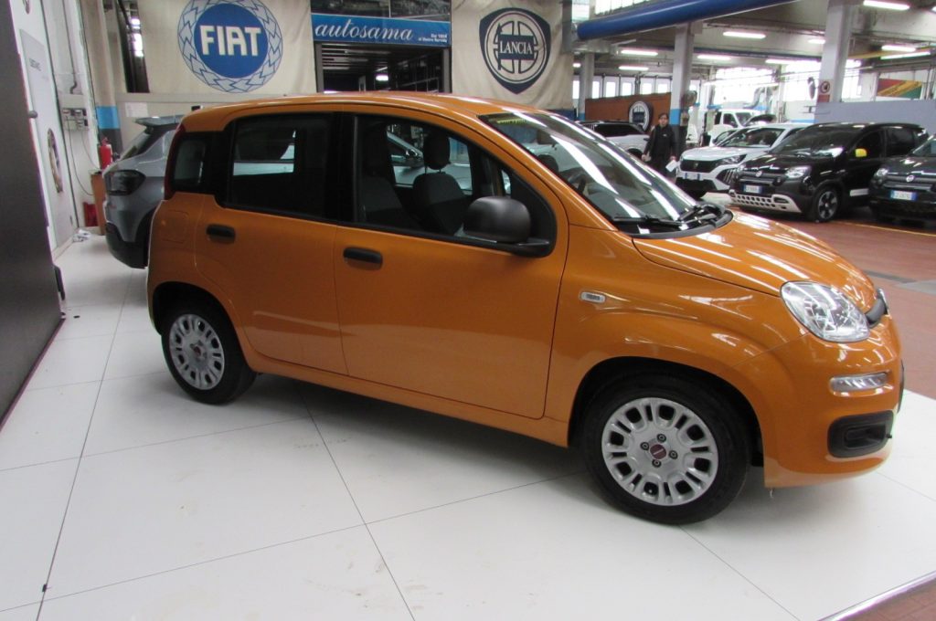 FIAT Panda 1.0 FireFly 70cv S&S Hybrid - 2