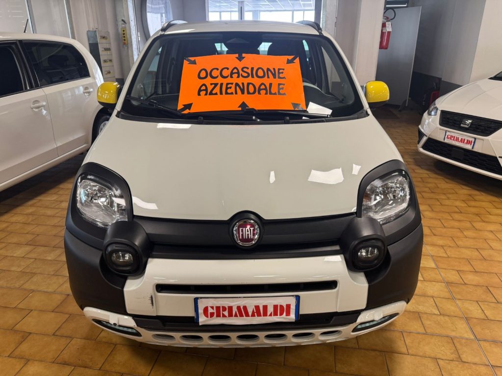 FIAT Panda Cross 1.0 S&S Hybrid - 2
