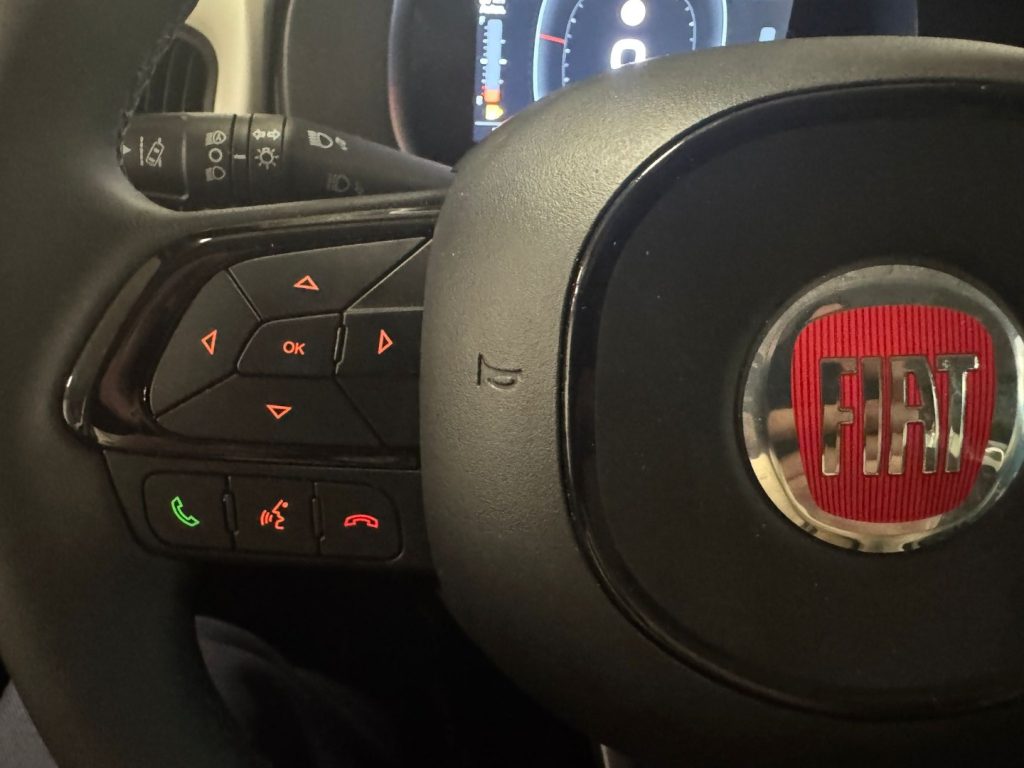 FIAT Panda Cross 1.0 S&S Hybrid - 19