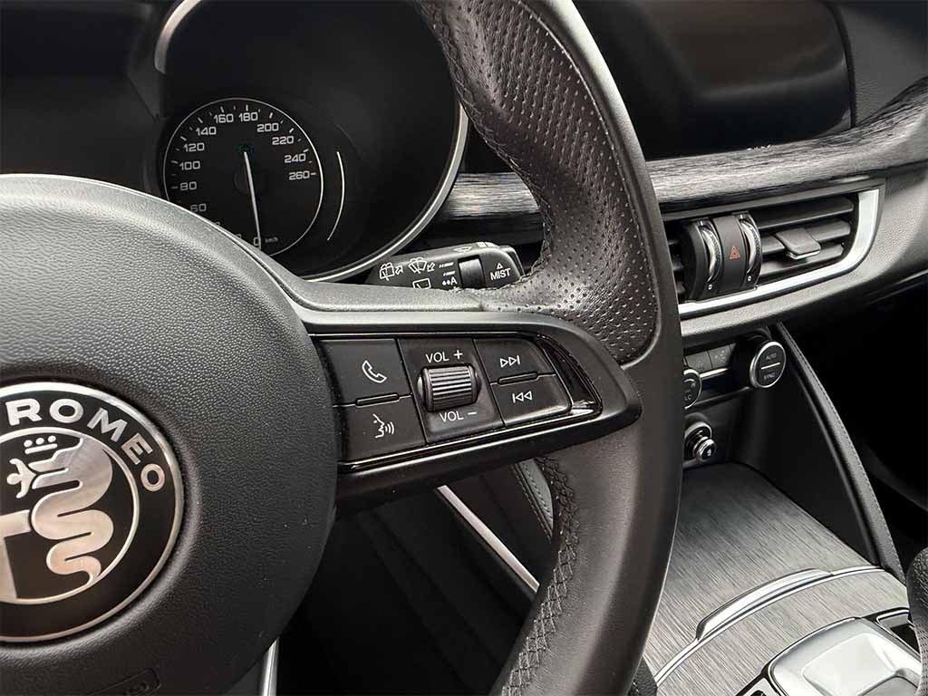 ALFA ROMEO Stelvio Super Business Q4 TELECAMERA POST. IVA ESPOSTA - 15