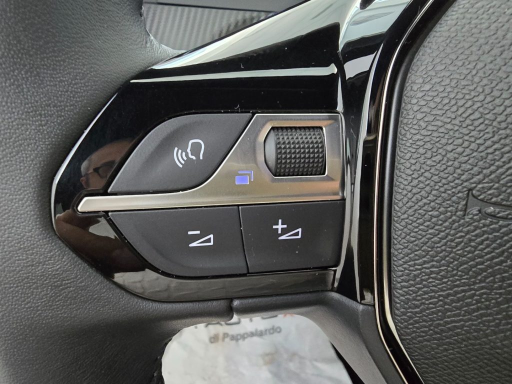 PEUGEOT 2008 PureTech 100 S&S Allure - 12