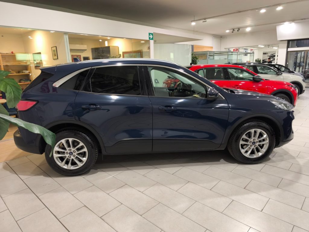 FORD Kuga 1.5 Automatic Ecoblue ST-Line Aziendale - 5