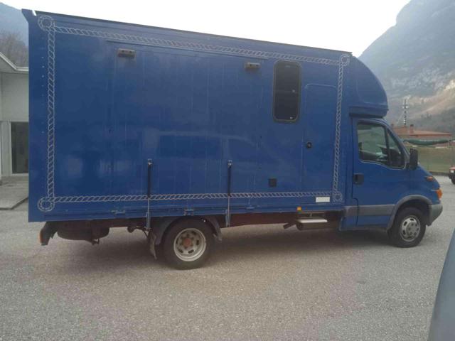 IVECO Daily Blu pastello
