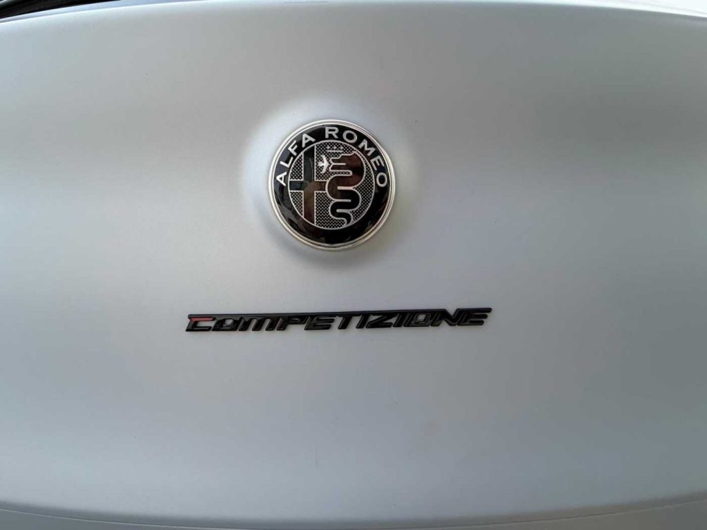 ALFA ROMEO Stelvio 2.2 Turbodiesel 210 CV AT8 Q4 Competizione - 10