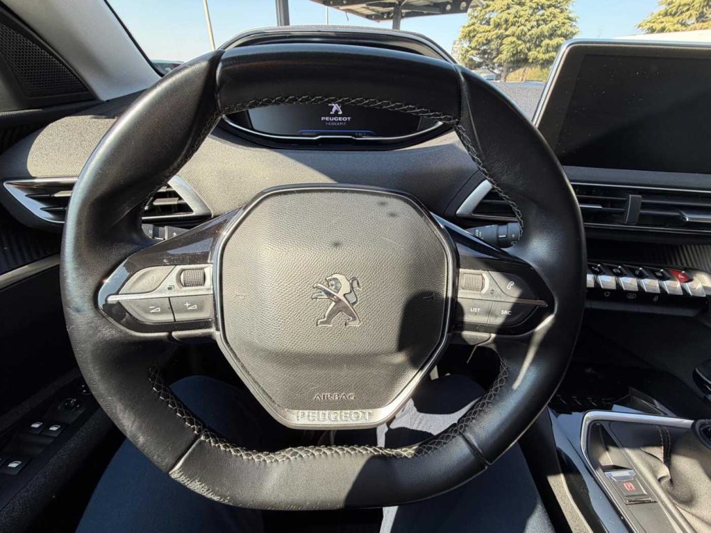 PEUGEOT 3008 BlueHDi 130 S&S Active - 13