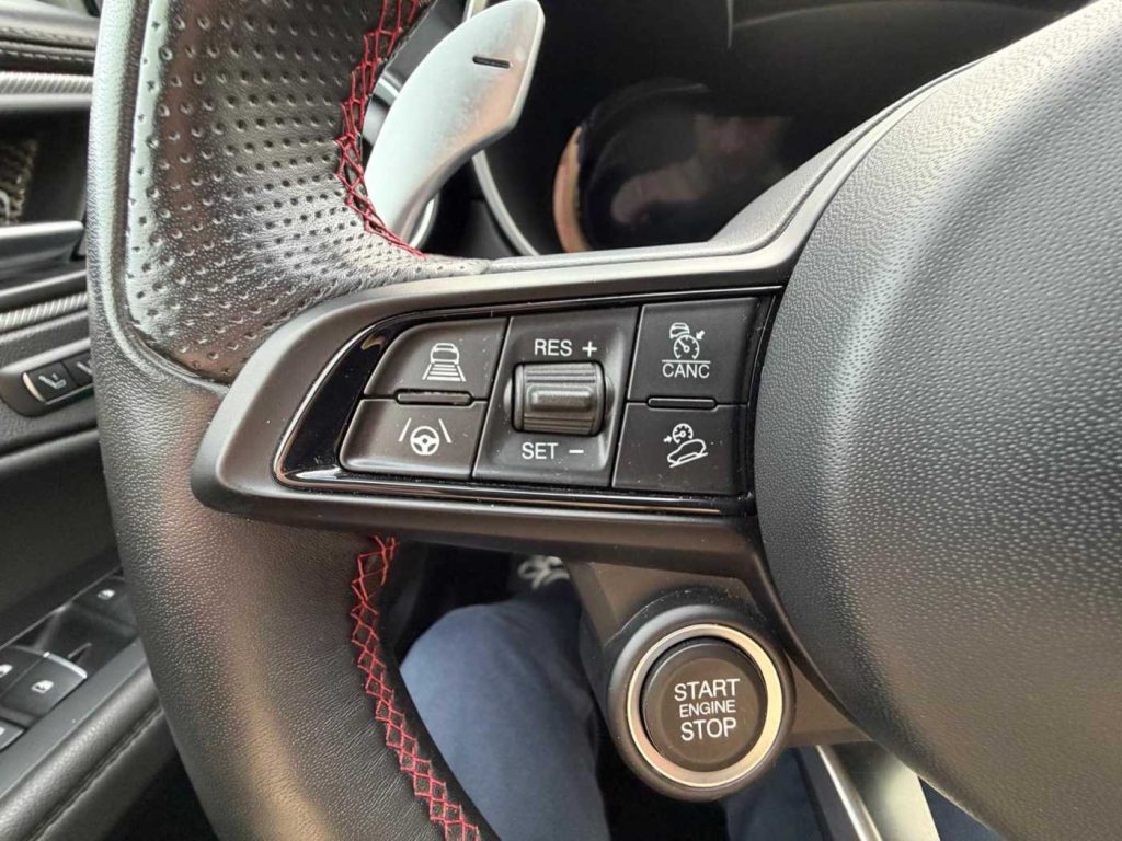 ALFA ROMEO Stelvio 2.2 Turbodiesel 210 CV AT8 Q4 Competizione - 16