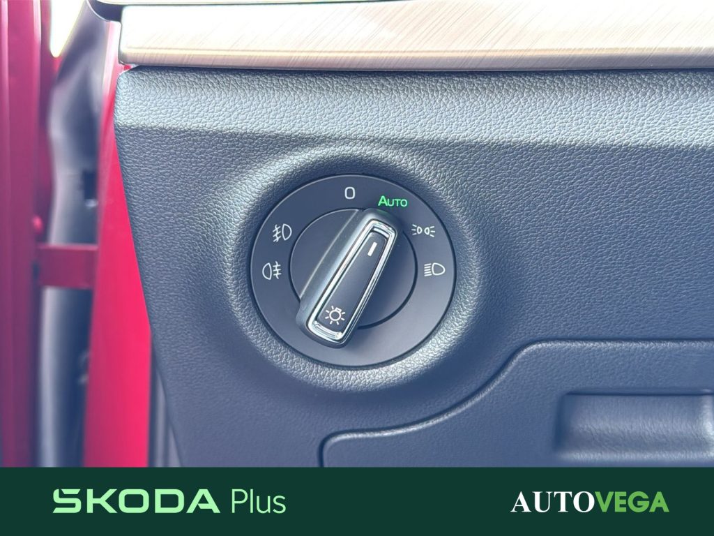 SKODA Kamiq 1.0 tsi black dots 95cv - 13