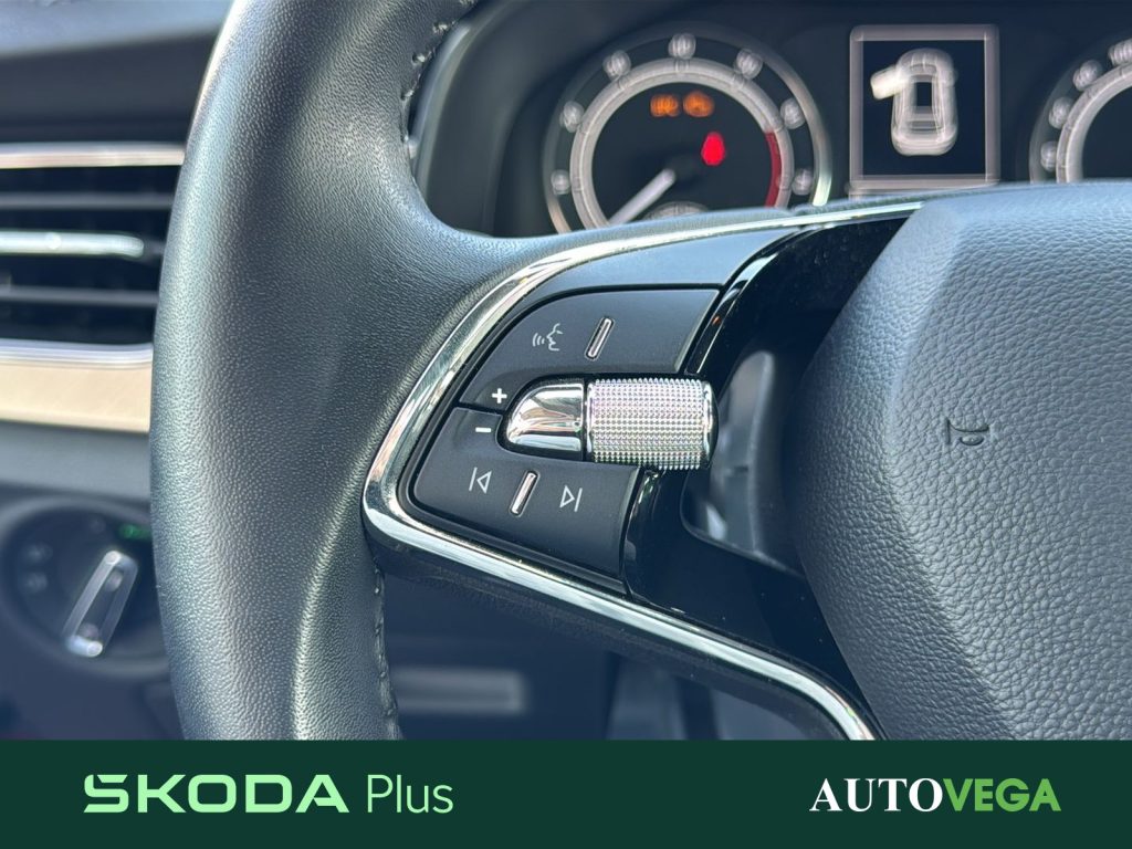 SKODA Kamiq 1.0 tsi black dots 95cv - 18