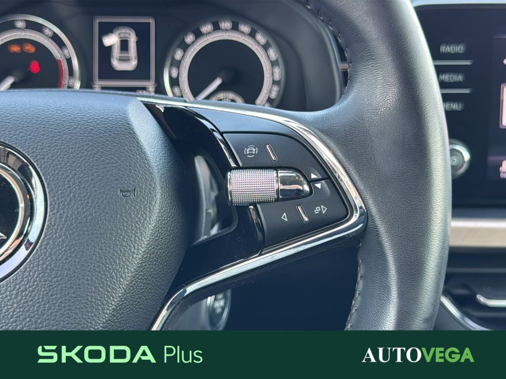 SKODA Kamiq 1.0 tsi black dots 95cv - 19