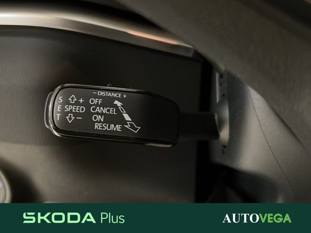 SKODA Karoq 2.0 tdi evo executive 115cv - 16