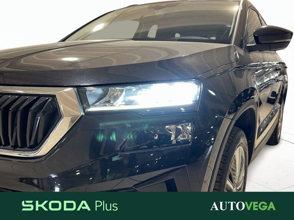 SKODA Karoq 2.0 tdi evo executive 115cv - 21