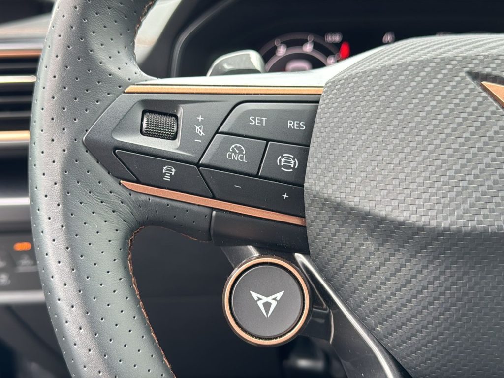 CUPRA Formentor 2.0 tdi 150cv dsg - 19