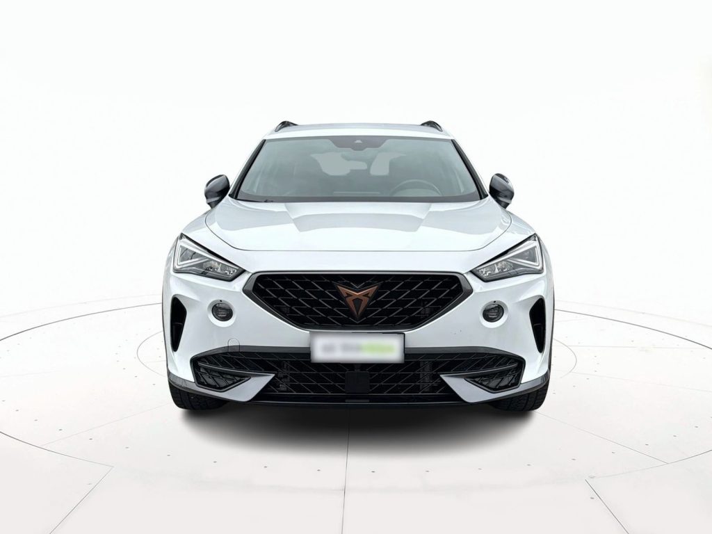 CUPRA Formentor 2.0 tdi 4drive 150cv dsg - 2