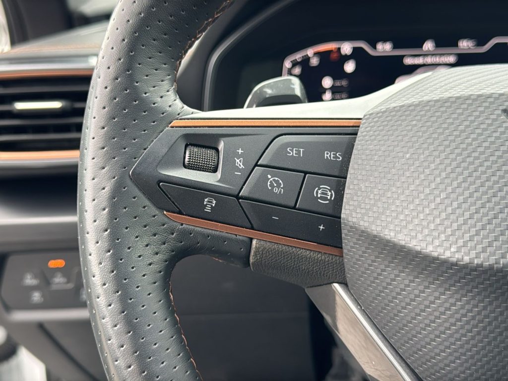 CUPRA Formentor 2.0 tdi 4drive 150cv dsg - 18