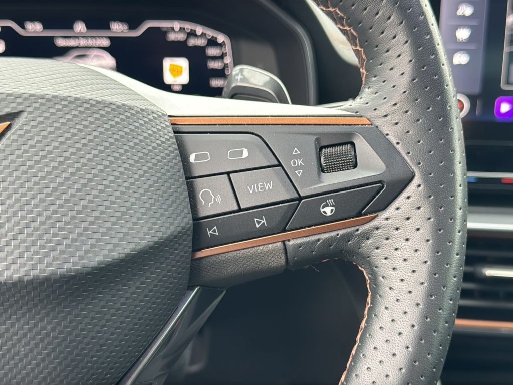 CUPRA Formentor 2.0 tdi 4drive 150cv dsg - 19