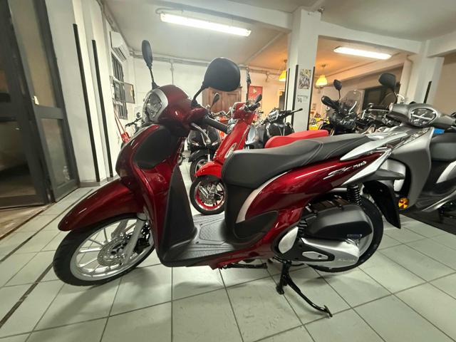 HONDA SH 125 amaranto metallizzato
