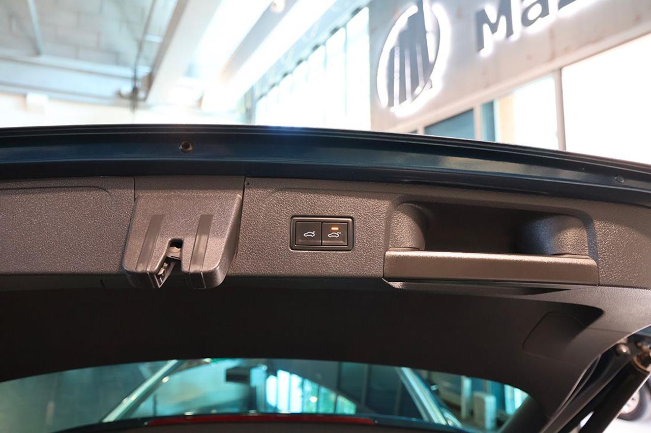 VOLKSWAGEN Passat Variant 2.0 TDI SCR EVO DSG Executive - 13