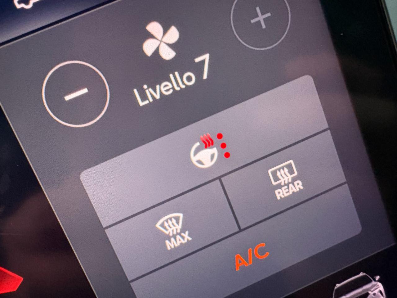 CUPRA Formentor 2.0 TDI 150 CV 4Drive DSG OPACA - 35