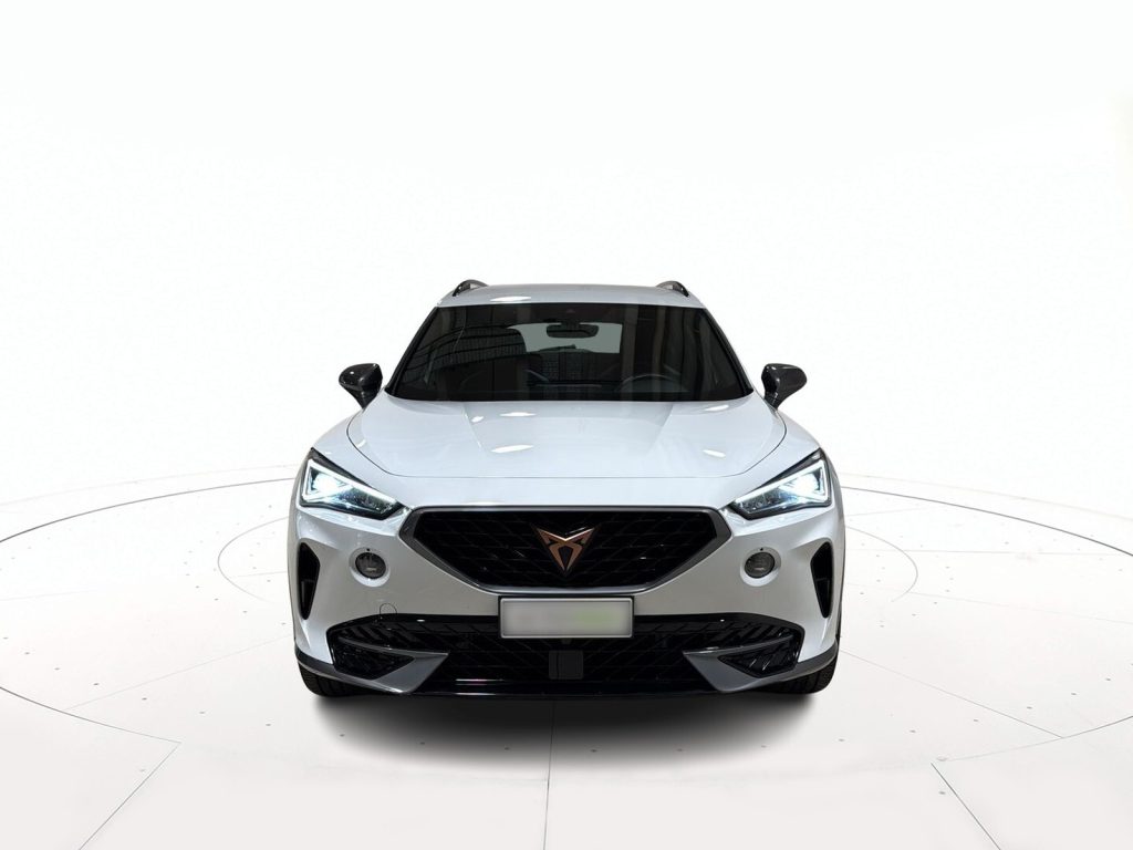 CUPRA Formentor 2.0 tdi 4drive 150cv dsg - 2