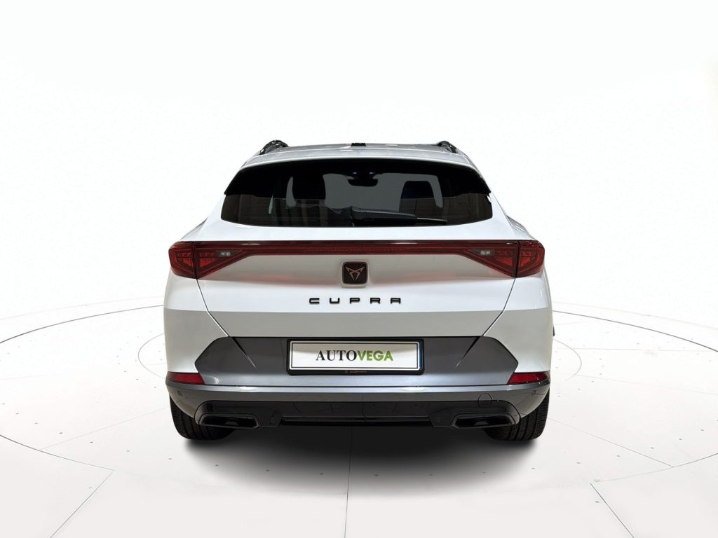 CUPRA Formentor 2.0 tdi 4drive 150cv dsg - 5