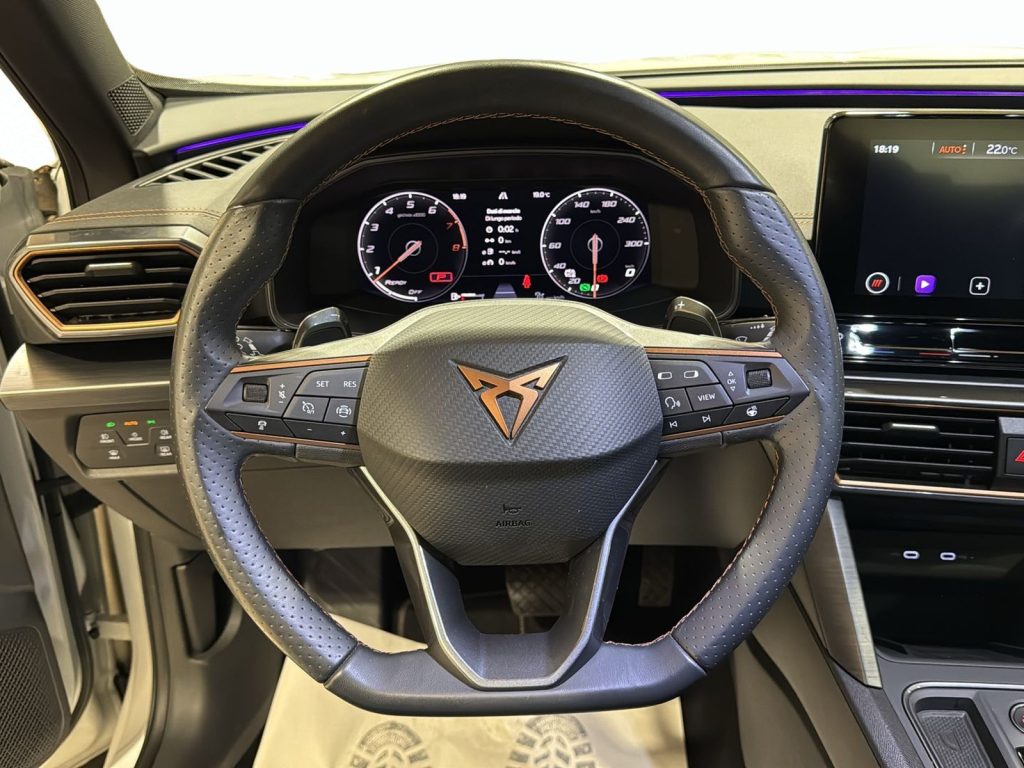 CUPRA Formentor 2.0 tdi 4drive 150cv dsg - 9