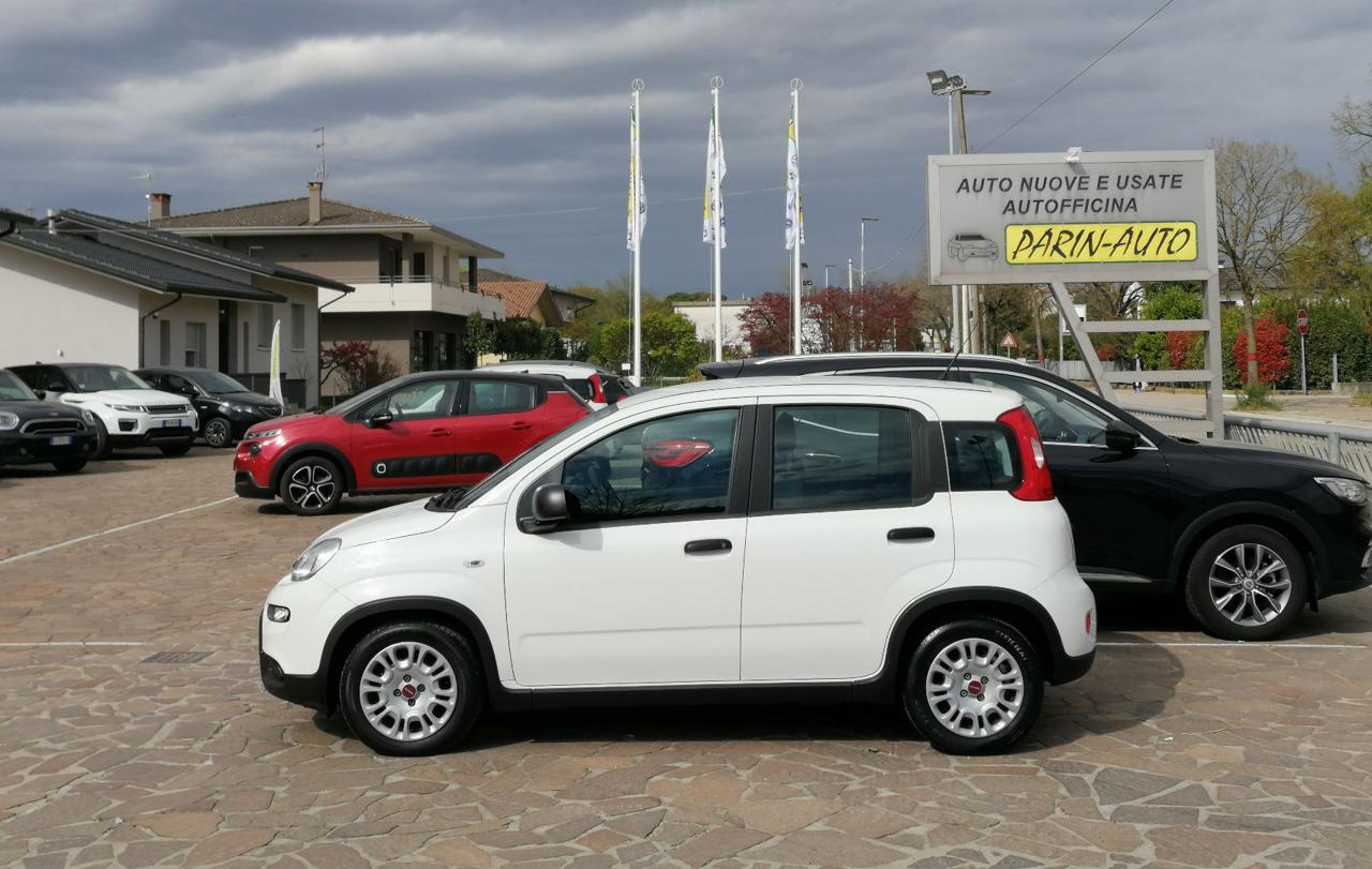 FIAT Panda 1.0 FireFly S&S Hybrid - 2