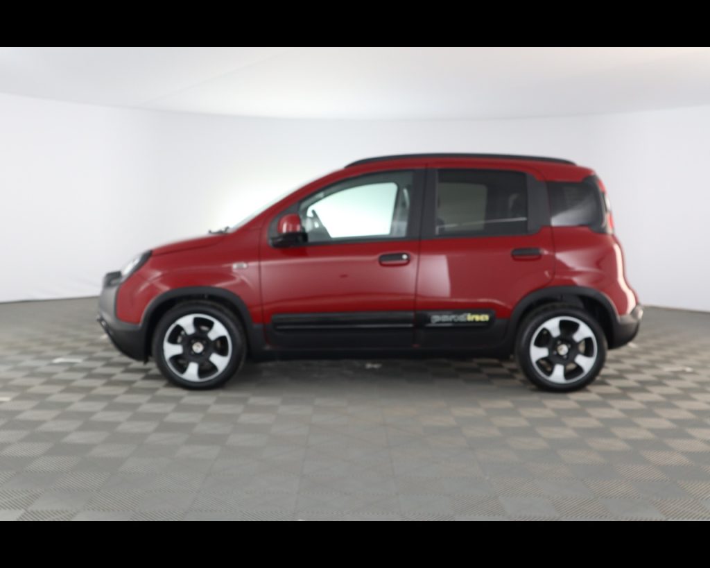 FIAT Pandina III 2024 Cross -  Cross 1.0 firefly hybrid s&s 70 - 12