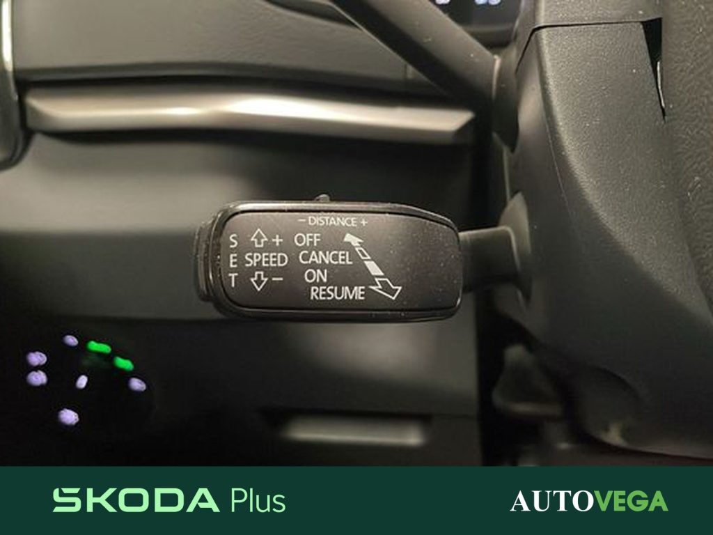 SKODA Karoq 2.0 tdi evo executive 115cv dsg - 16