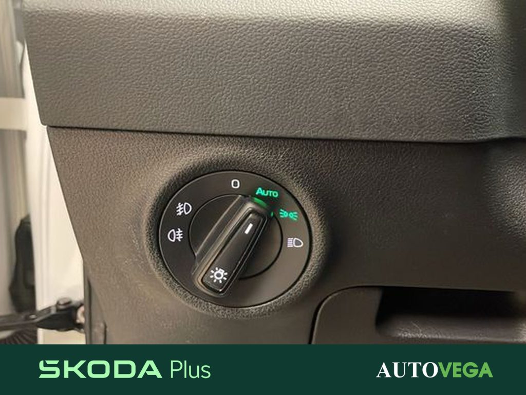 SKODA Karoq 2.0 tdi evo executive 115cv dsg - 17