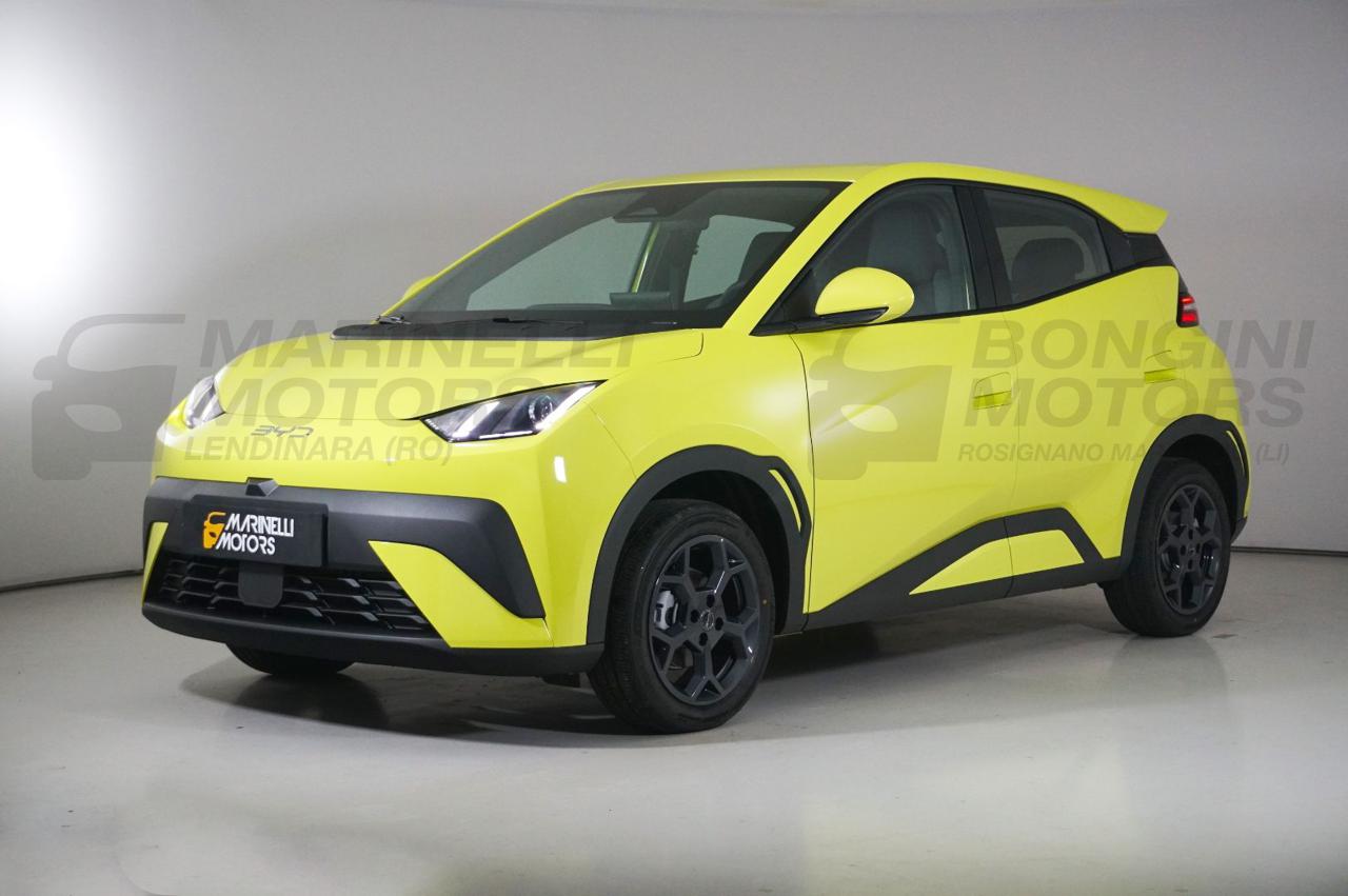 BYD Dolphin SURF BOOST - 28