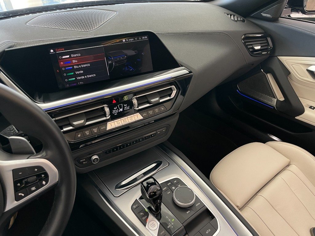 BMW Z4 sDrive20i Msport+FROZEN GREY+19+ - 19