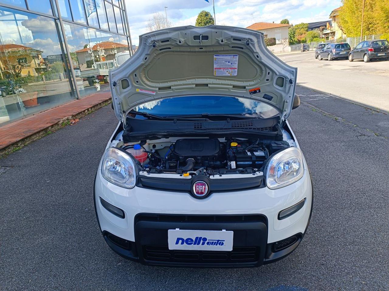 FIAT Panda 1.0 S&S Hybrid Van 2 posti - 3