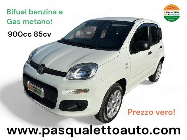 FIAT Panda Bianco pastello