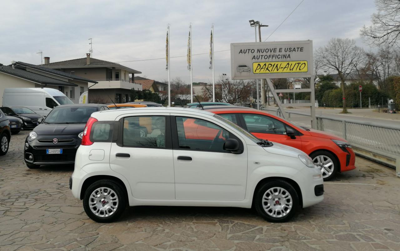 FIAT Panda 1.0 FireFly S&S Hybrid 5 Posti - 3
