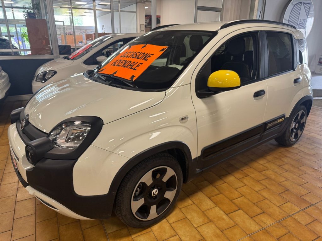 FIAT Panda Cross 1.0 S&S Hybrid - 3