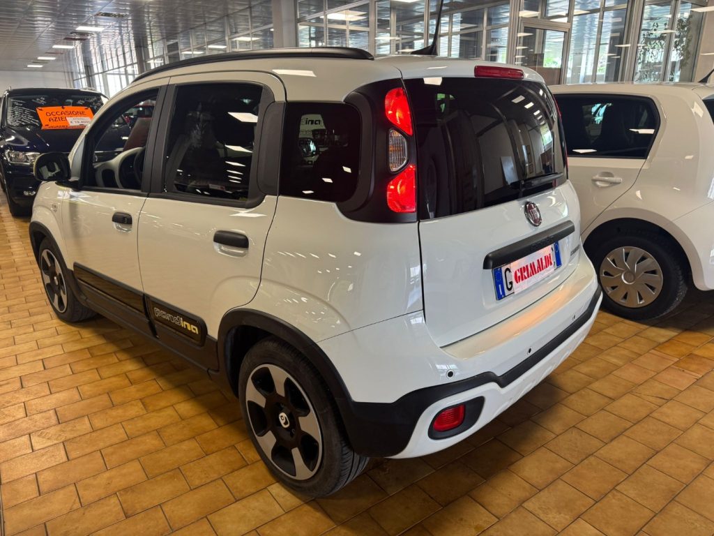 FIAT Panda Cross 1.0 S&S Hybrid - 4