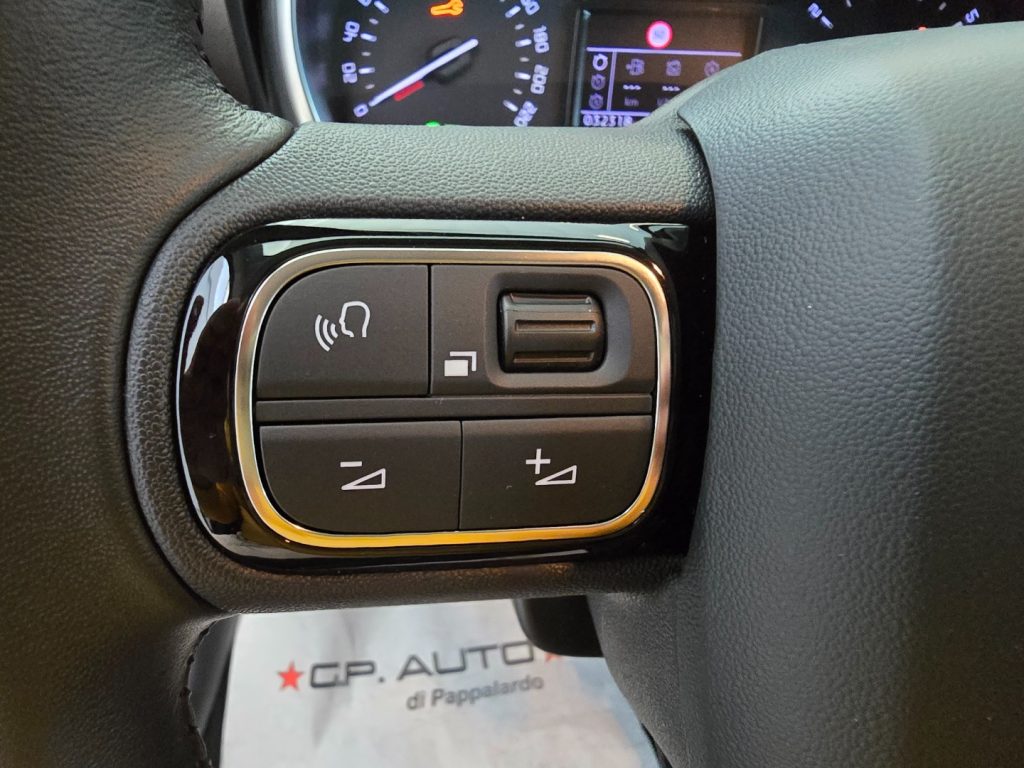 CITROEN C3 Aircross PureTech 110 S&S Plus - 12