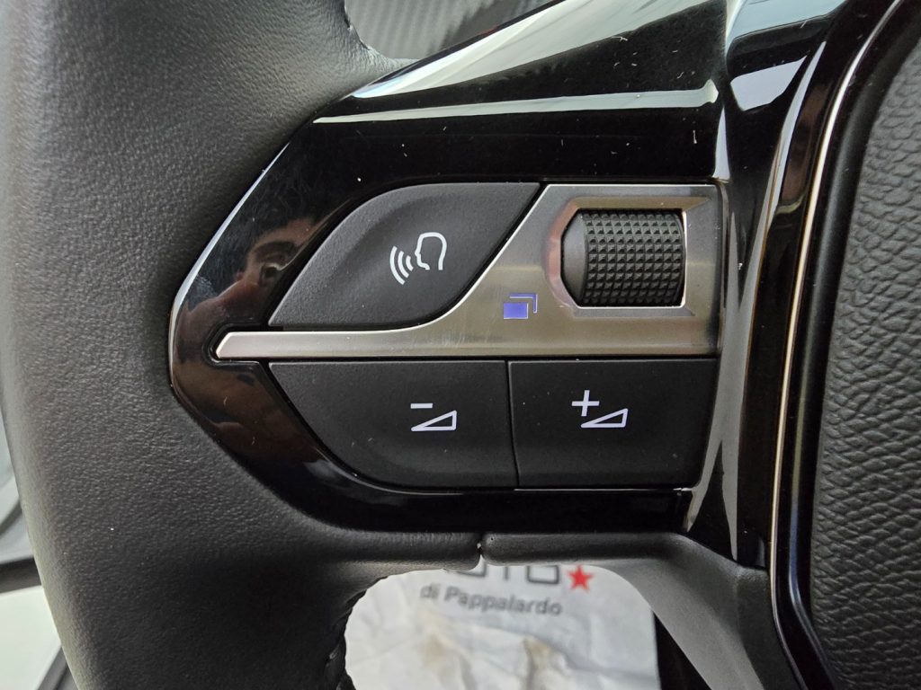 PEUGEOT 2008 PureTech 100 S&S Allure - 12