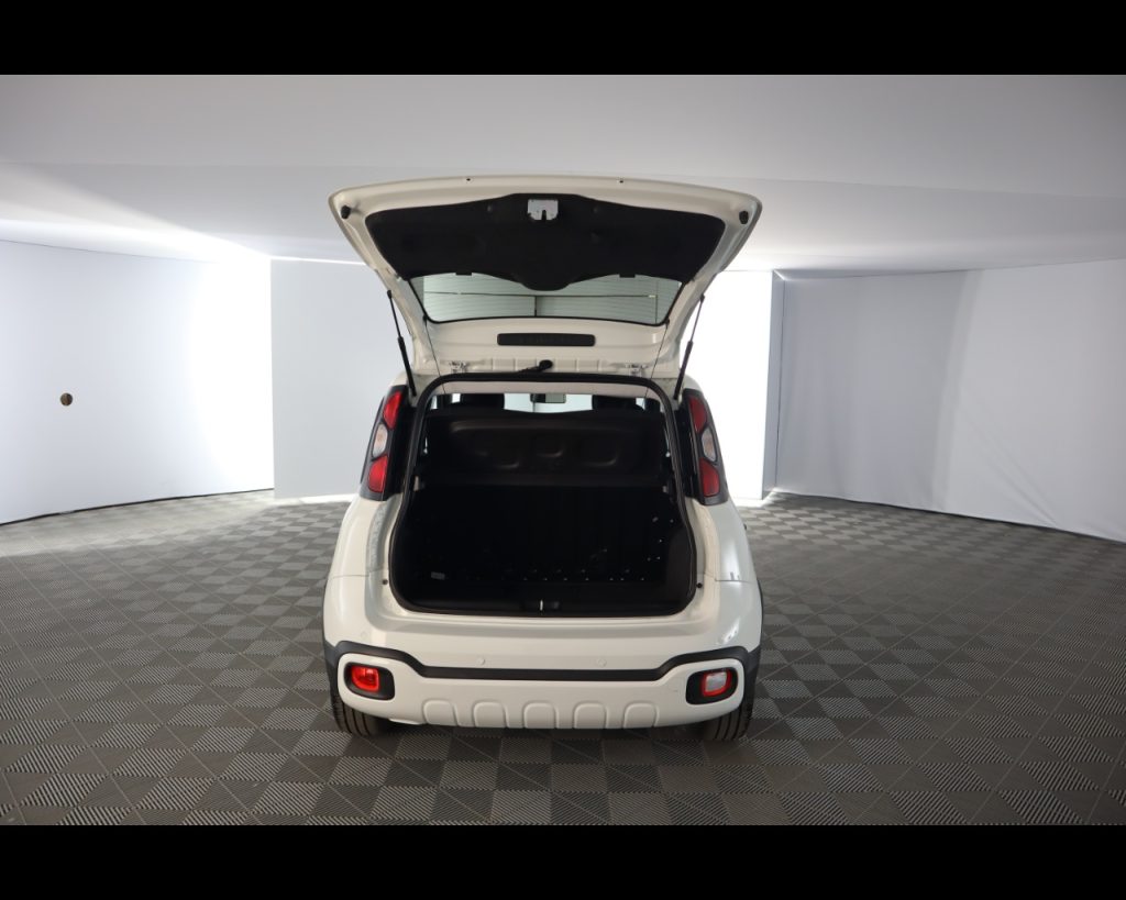 FIAT Pandina III 2024 Cross -  Cross 1.0 firefly hybrid s&s 70 - 19