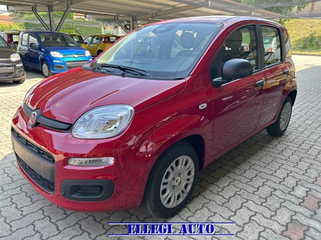 FIAT Panda Rosso pastello