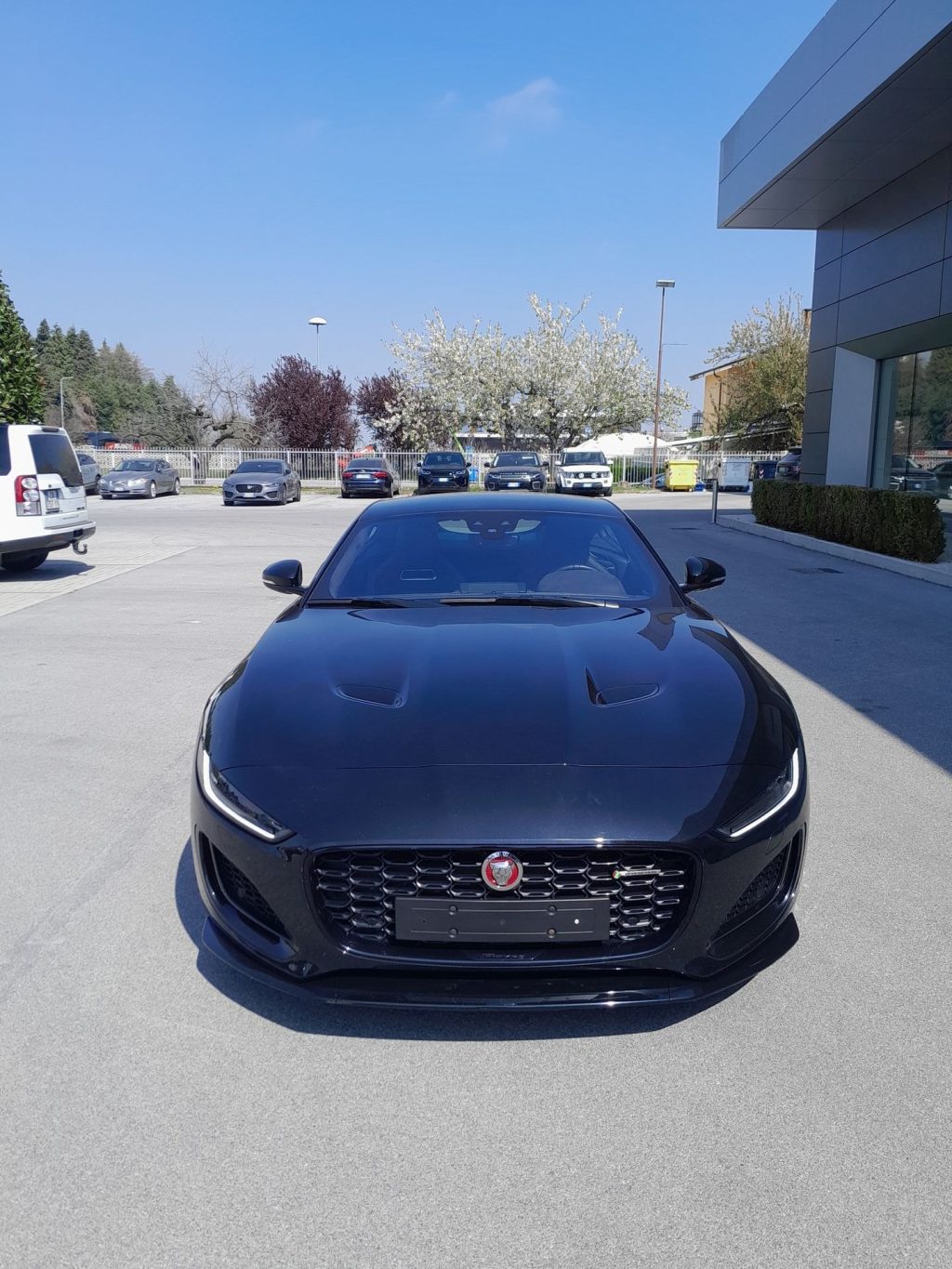 JAGUAR F-Type 2.0 P300CV RWD AUTO R-Dynamic - 2