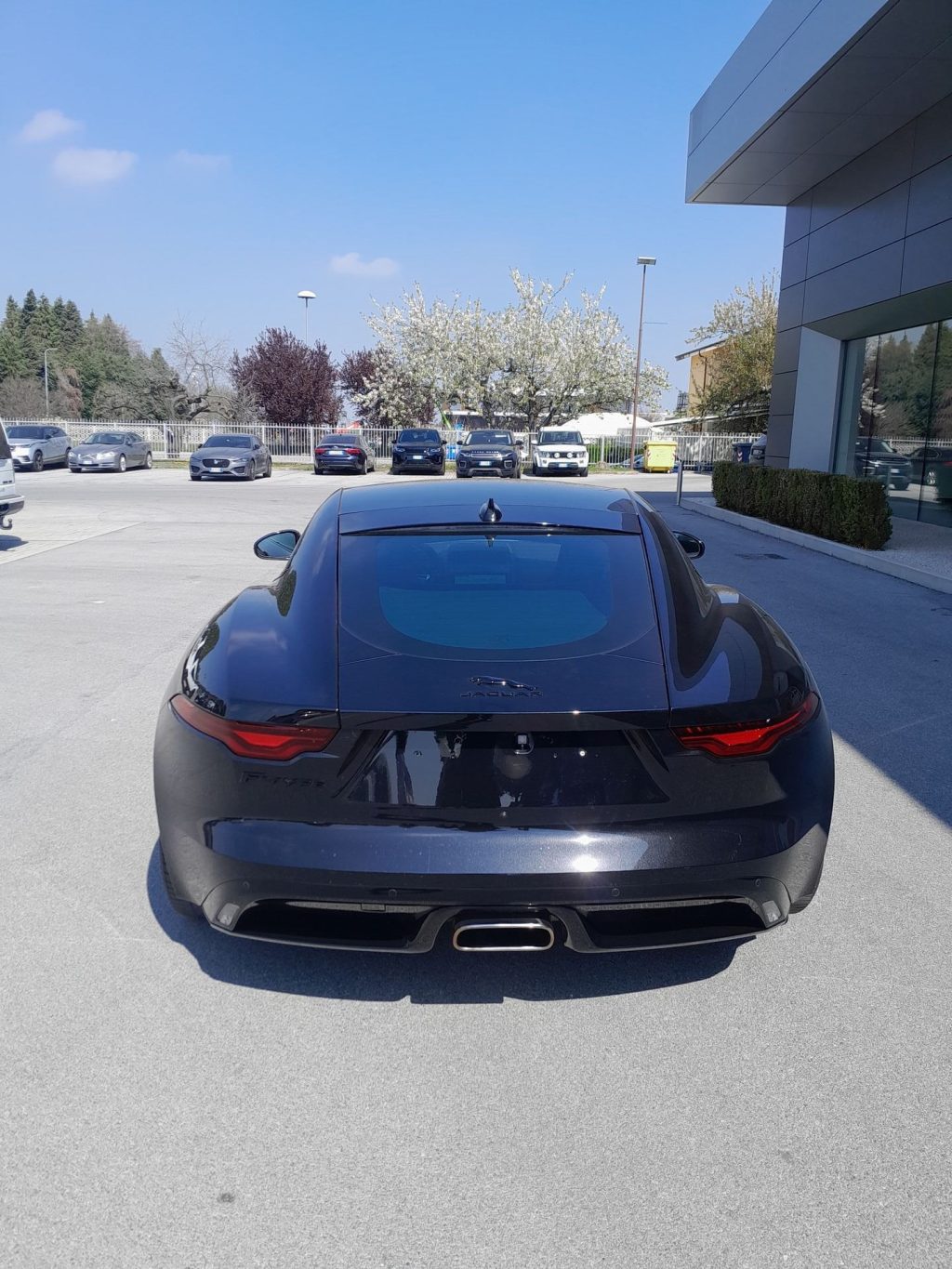 JAGUAR F-Type 2.0 P300CV RWD AUTO R-Dynamic - 7