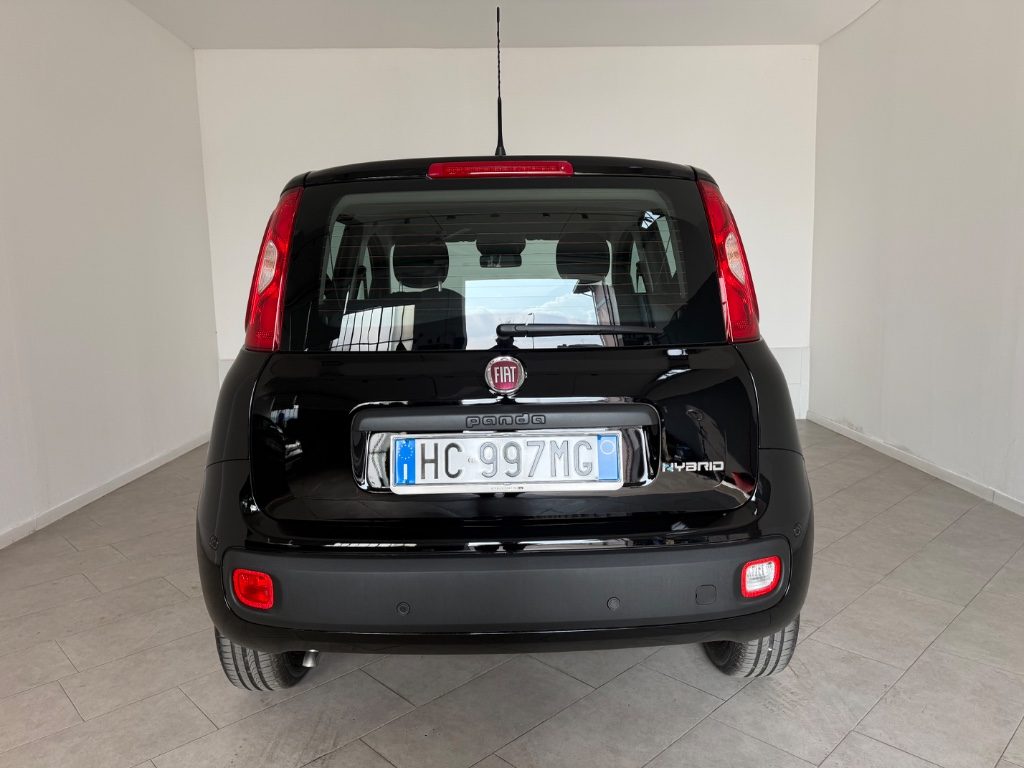 FIAT Pandina 1.0 FireFly 65 CV .Hybrid Icon - 3