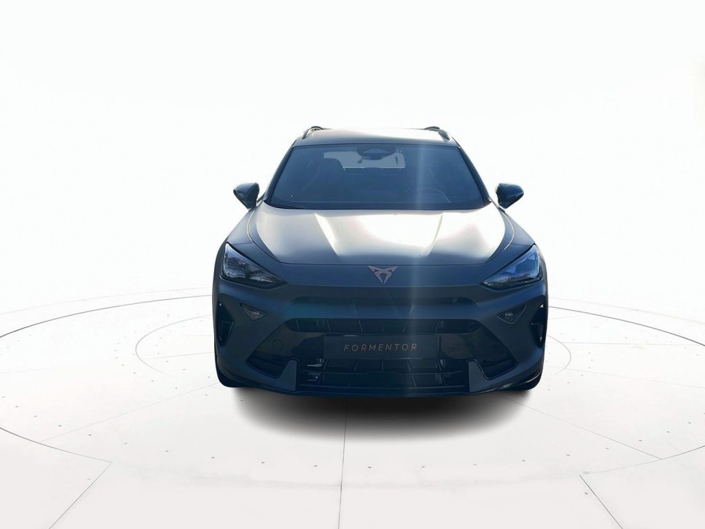 CUPRA Formentor 2.0 tdi 150cv dsg - 2