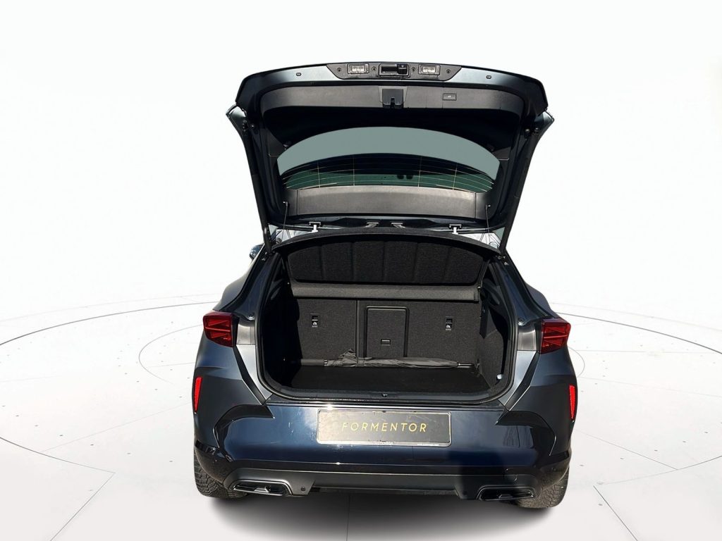 CUPRA Formentor 2.0 tdi 150cv dsg - 14